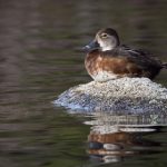 探索亚洲城888:一个汇聚娱乐与休闲的理想之地 11818p44