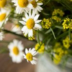 探索亚汌城国际:一个融合文化与现代生活的理想之地 4a1gfm1ooz