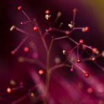 英亚体育官方平台:畅享全球体育赛事的最佳选择 88eoj85ul