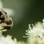 探索亚博最新版本:全新功能与用户体验的全面升级 bjluv1