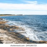 探索Vinbet:在线博彩平台的全新体验与优势 r75ok81